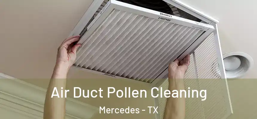  Air Duct Pollen Cleaning Mercedes - TX