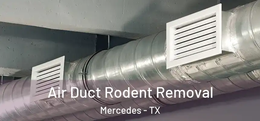  Air Duct Rodent Removal Mercedes - TX
