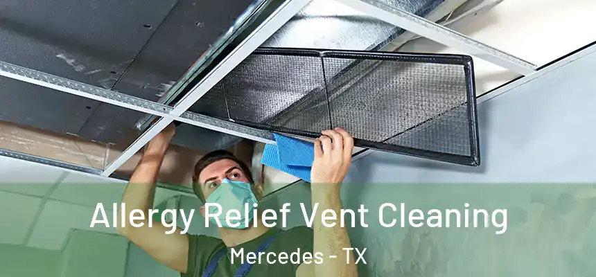  Allergy Relief Vent Cleaning Mercedes - TX
