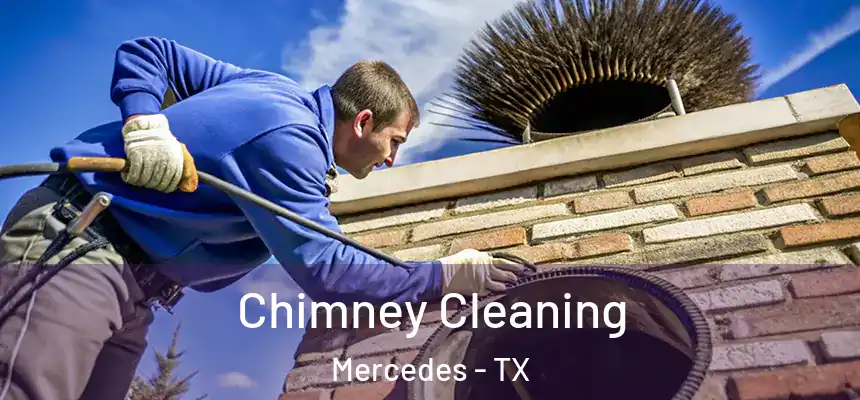 Chimney Cleaning Mercedes - TX