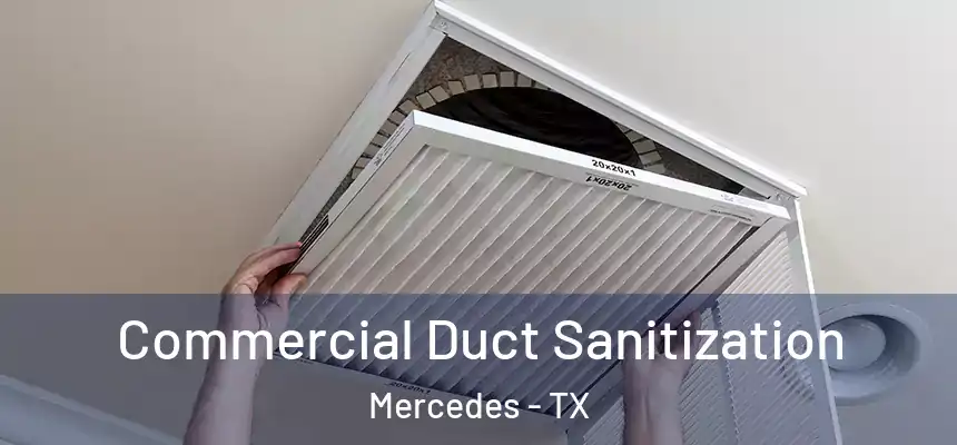 Commercial Duct Sanitization Mercedes - TX