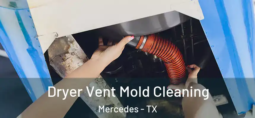  Dryer Vent Mold Cleaning Mercedes - TX