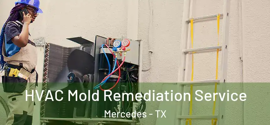 HVAC Mold Remediation Service Mercedes - TX