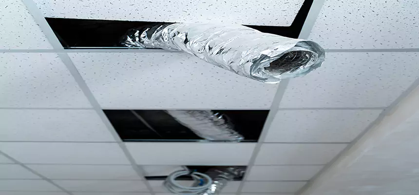 Affordable HVAC Sanitizing After Pest Removal in Mercedes