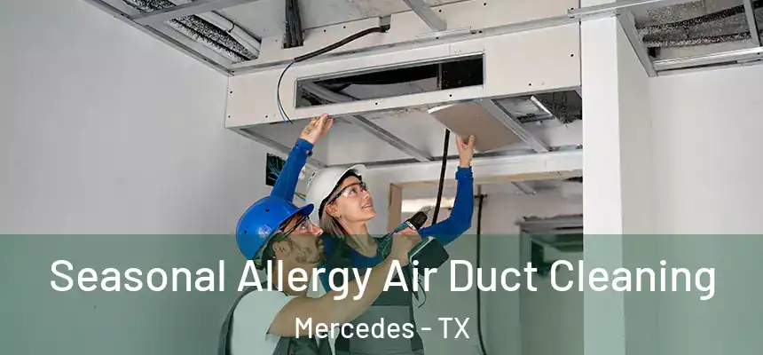  Seasonal Allergy Air Duct Cleaning Mercedes - TX