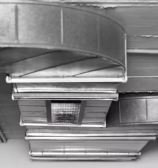 Professional Air Duct Pet Hair Removal in Mercedes, TX