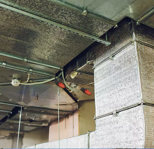 Why Homeowners & Businesses Trust Us in Mercedes, TX?