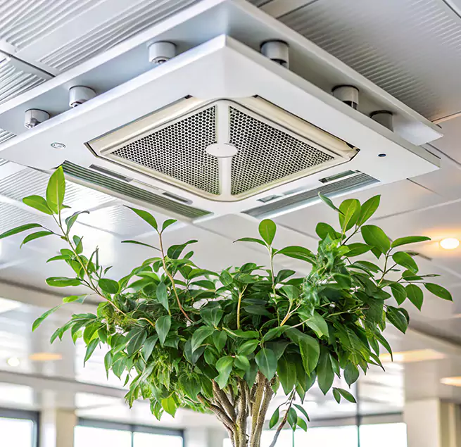 Why Homeowners & Businesses Trust Us in Mercedes, TX?